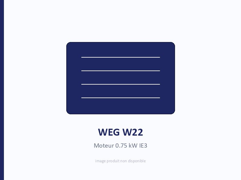 WEG W22 motor